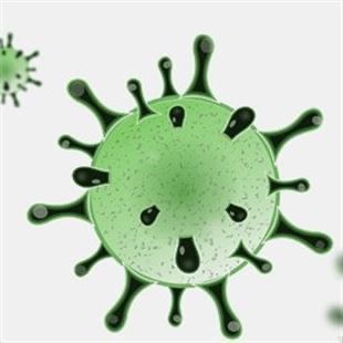Coronavirus: 25 nuovi casi di positività e due decessi a Sassuolo