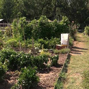 Orti sul Secchia: assegnazione di alcuni appezzamenti di terreno