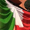 Festa della Repubblica con la Prefettura di Modena: due sassolesi tra gli insigniti 